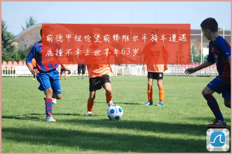 前德甲纽伦堡前锋维尔辛骑车遭遇鹿撞不幸去世享年63岁